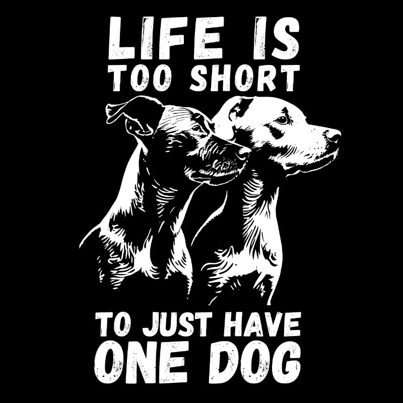Pack pour chiens École pour chiens Dog Place Dresseur de chiens