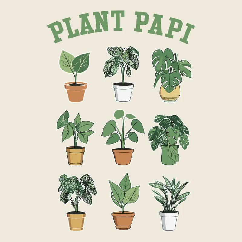 Plant Papi - L’amour des plantes d’intérieur pour de vrai