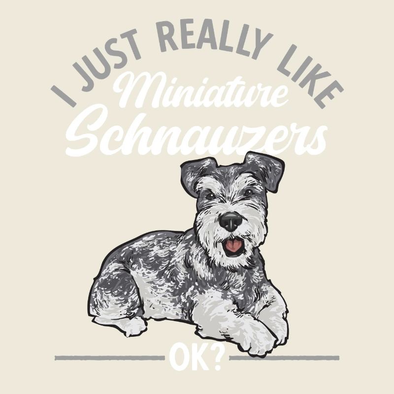 Zwergschnauzer Hund Schnauzer