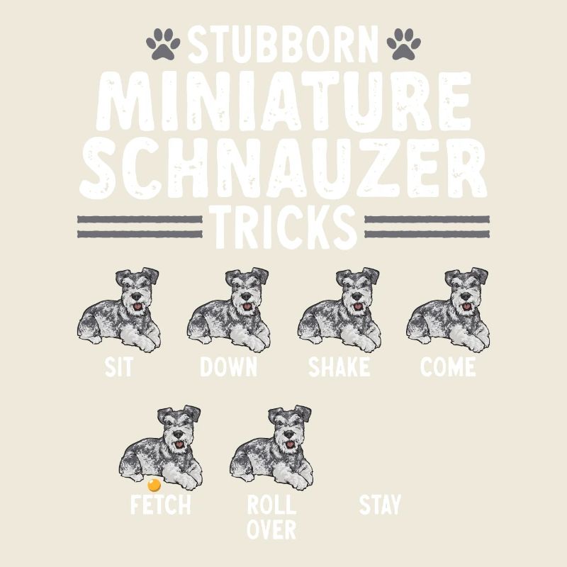 Schnauzer nain Chien Schnauzer