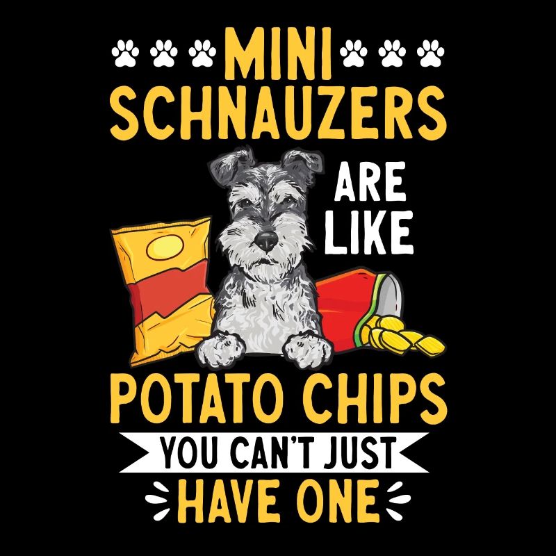 Zwergschnauzer Hund Schnauzer