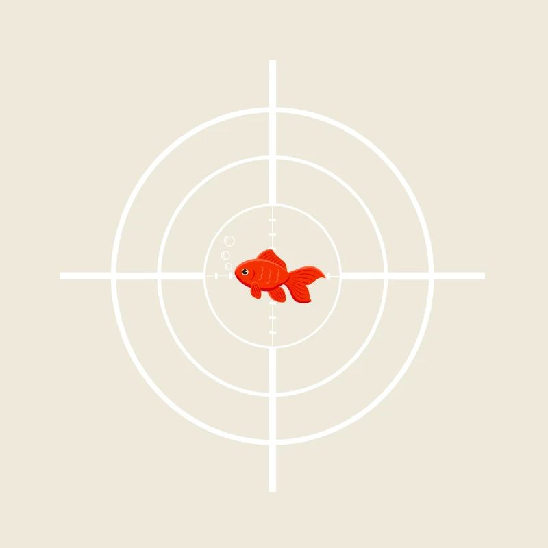 Un requin chasse un poisson !