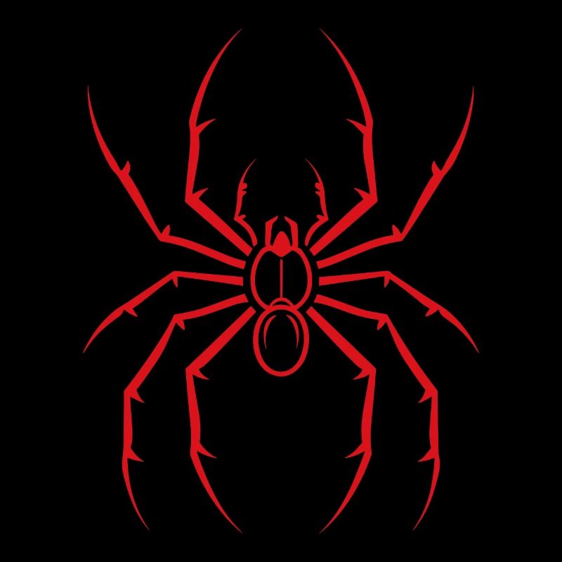 Spinne