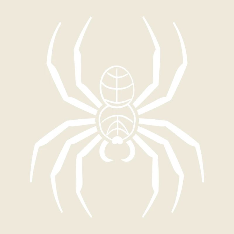 Spinne