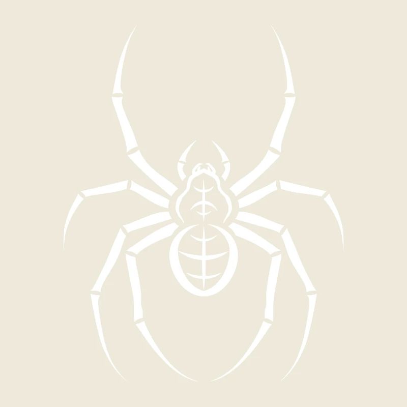 Spinne