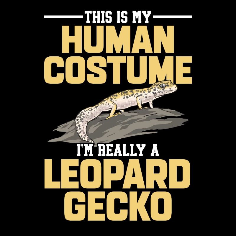 Leopardgecko Reptil Haustier Gecko