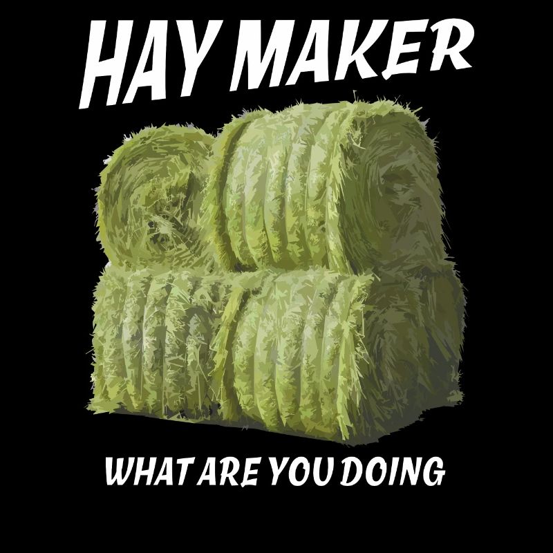 FABRICANT HAY