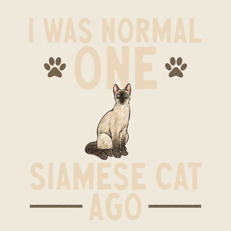 Siamkatze Katze Siamese
