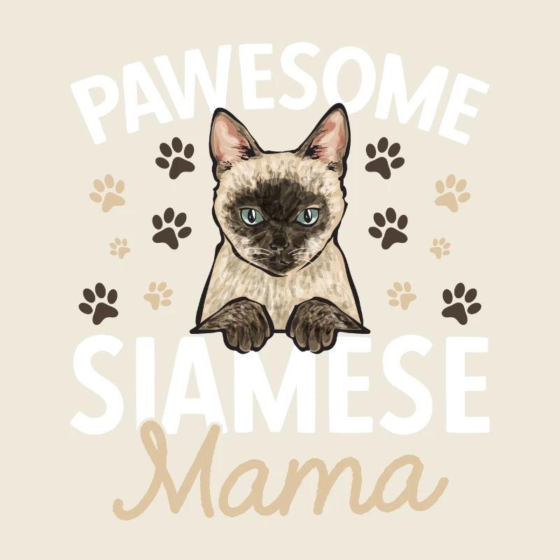 Siamkatze Katze Siamese