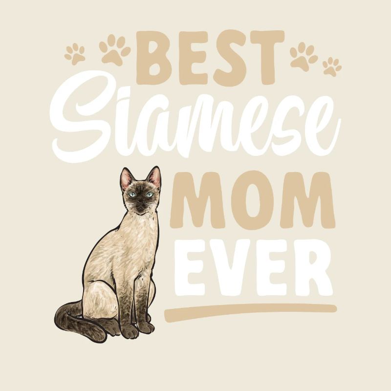 Siamkatze Katze Siamese