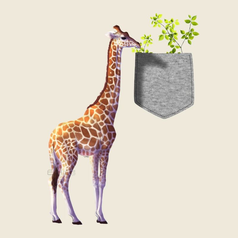 Girafe atteignant une branche avec des feuilles dans la poche