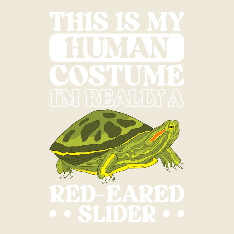 Turtle Red-eared Turtle