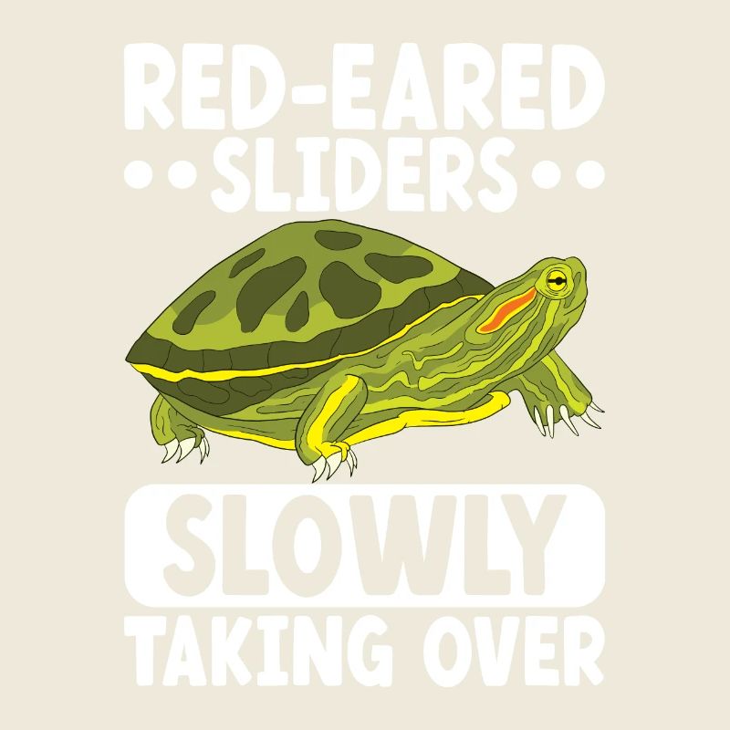 Turtle Red-eared Turtle