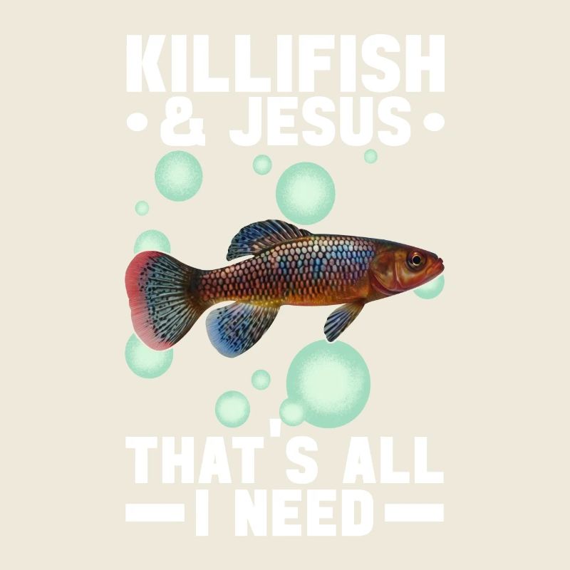 Killifisch Quarium Fische