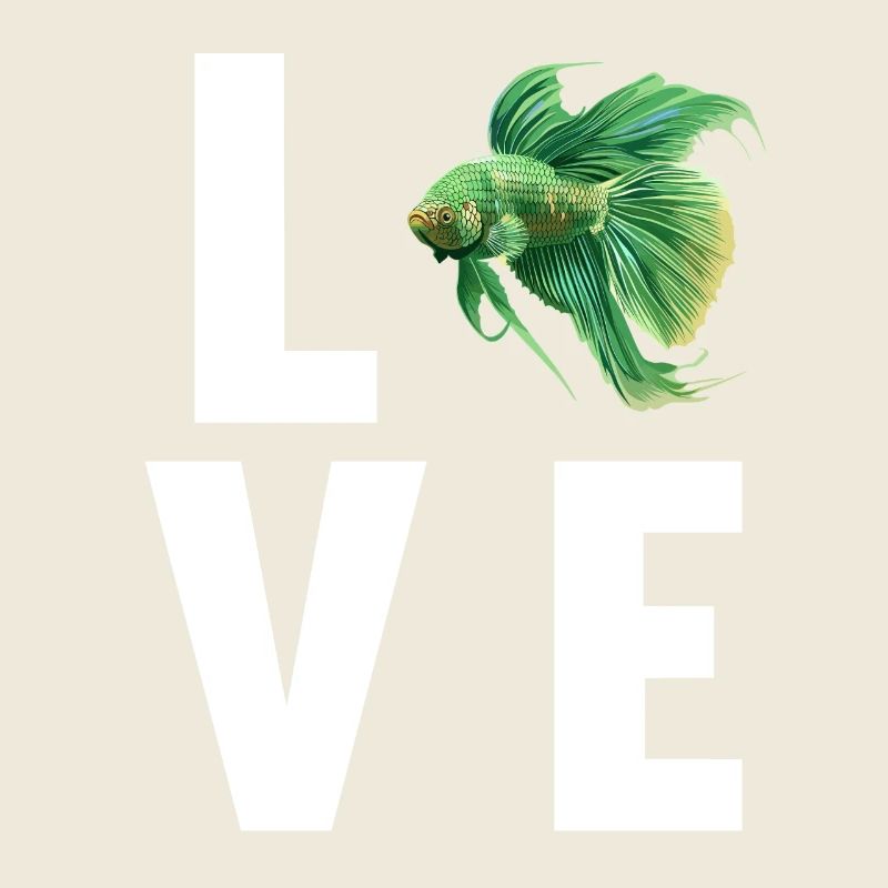 Bettas Betta Fisch Betta
