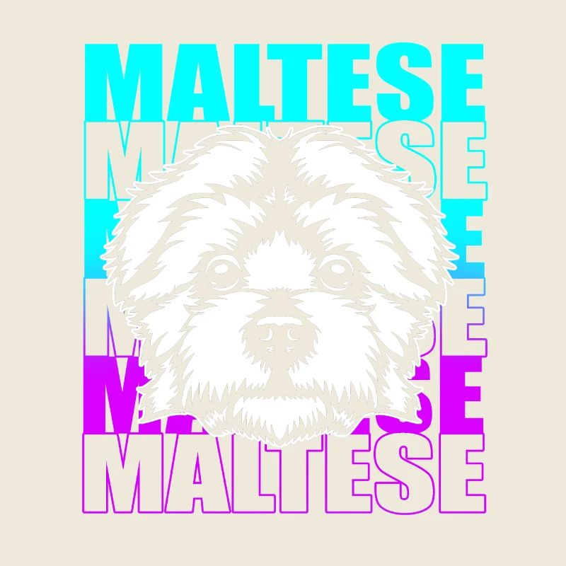 Maltese Dog