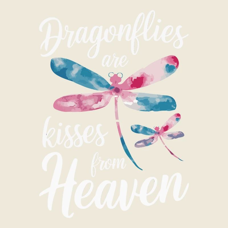 Libellule Libellules Insectes Nature