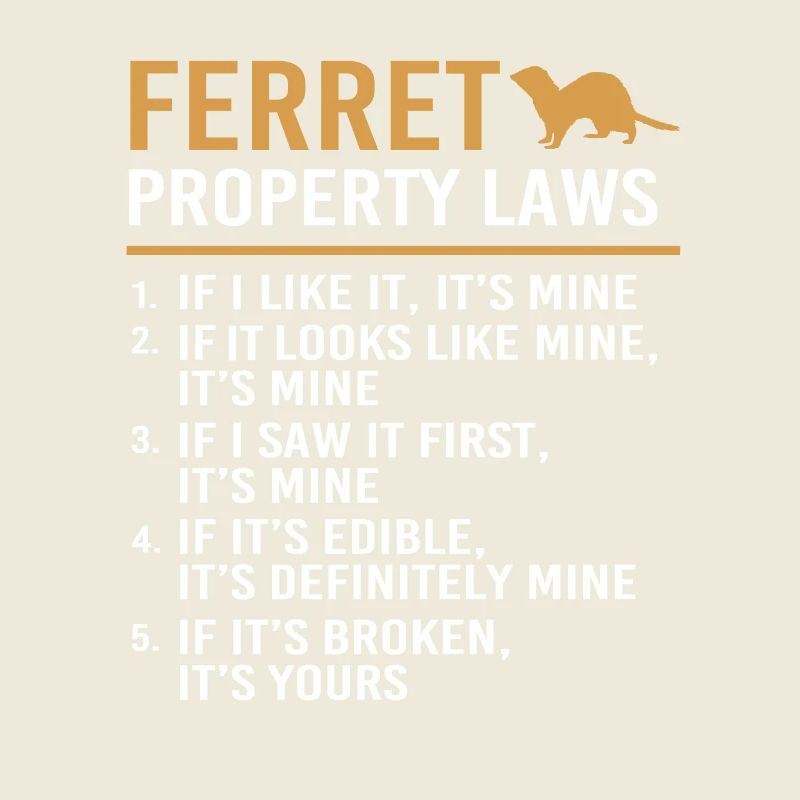 Ferret
