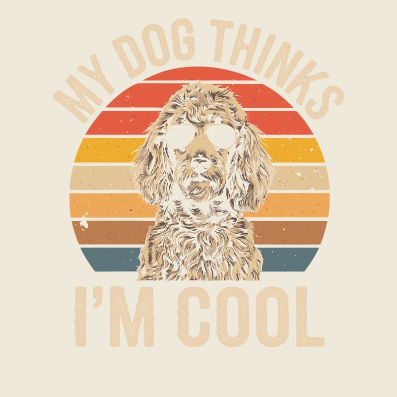 Caniche mon chien pense que je suis cool