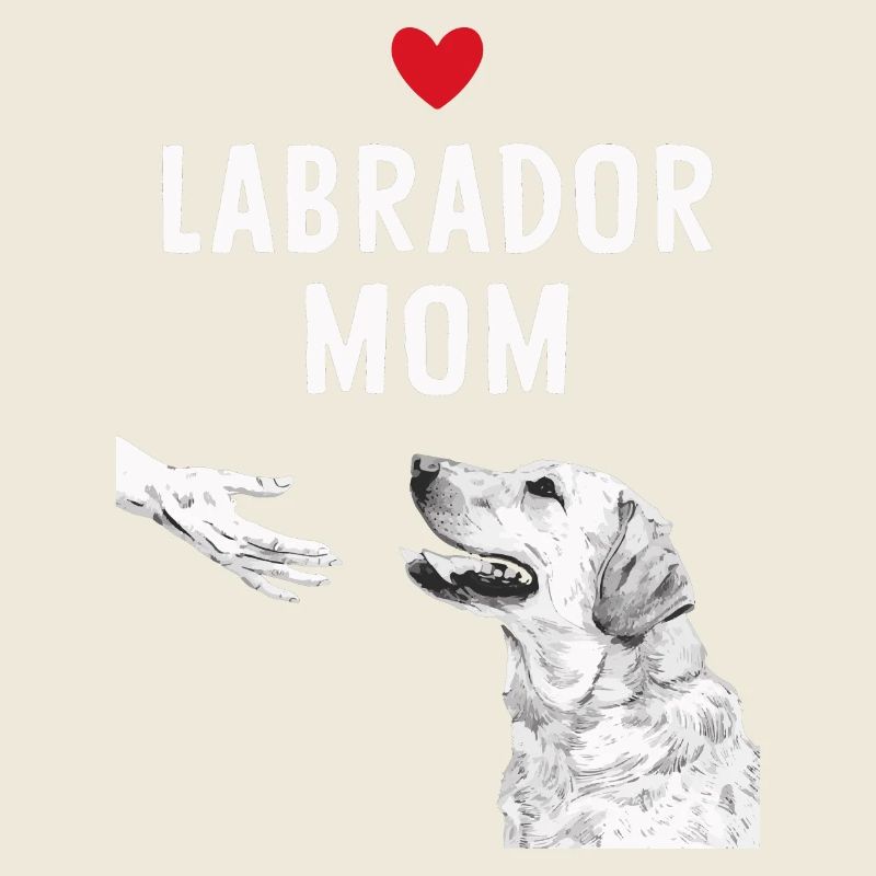 Labrador Dog