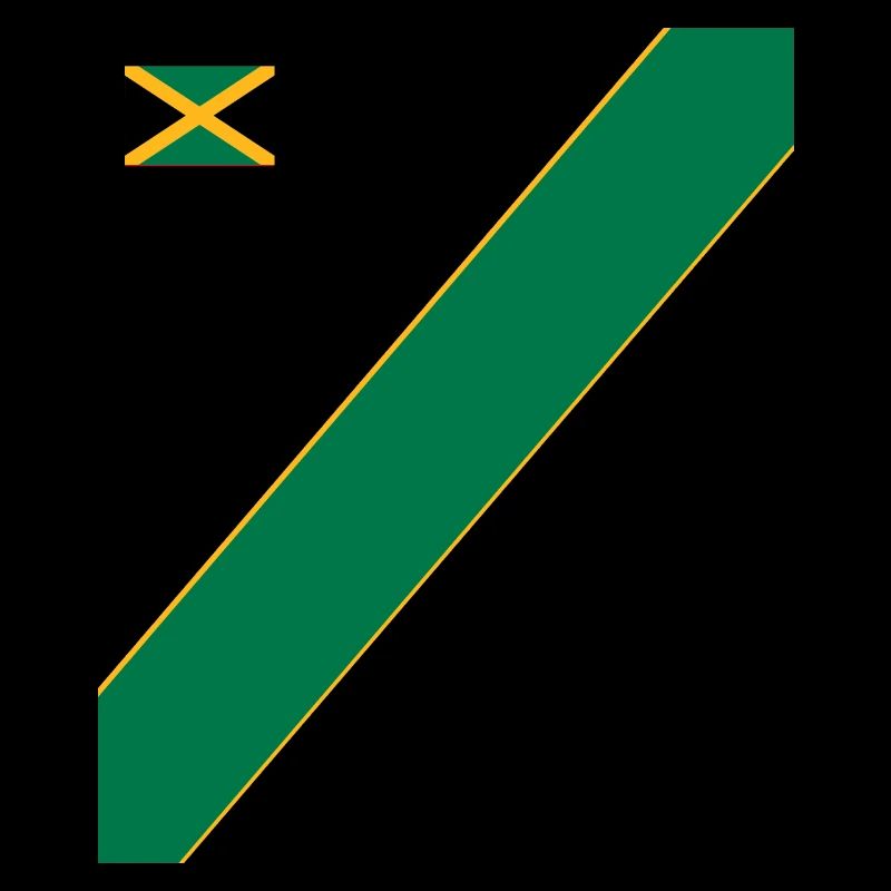 Jamaïque Jamaïque Rasta Raggea Drapeau Rastafari