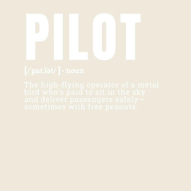 Funny Pilot Dictionary Définition Profession Occuper
