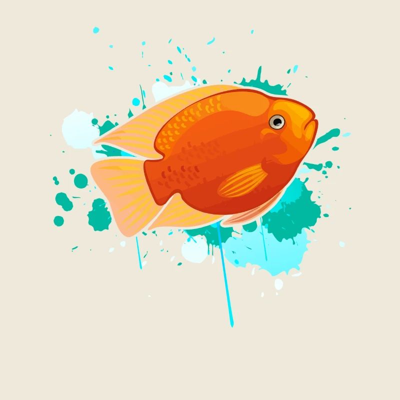 Cute Cichlid Fish
