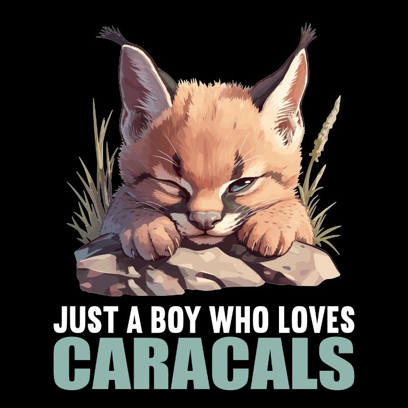 Caracal Karakale Karakal