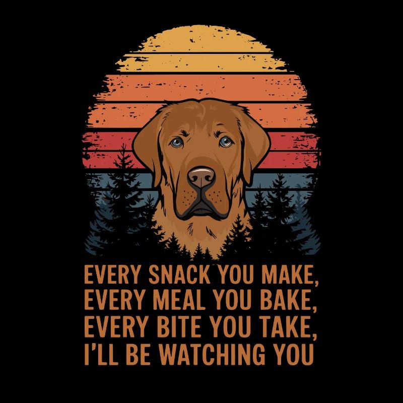 Labrador is watching you