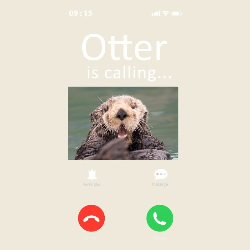 Otter Phone Display Otter Is