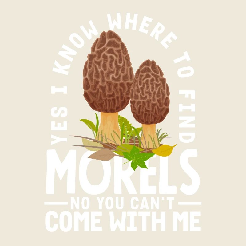 , je sais où trouver des morilles