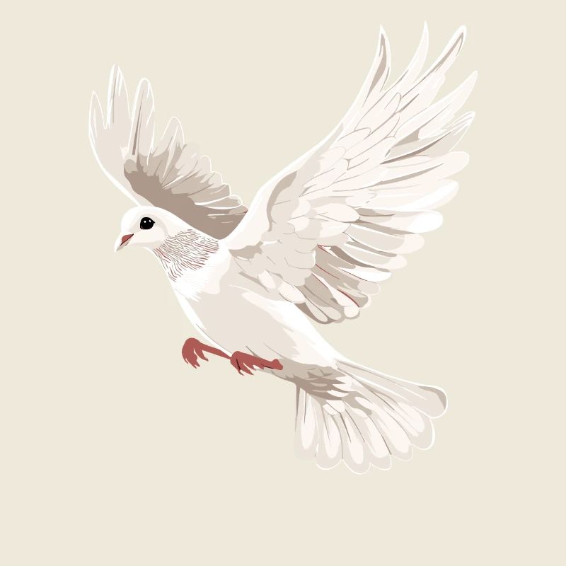 Dove White Peace Peace Wood Dove White Doves