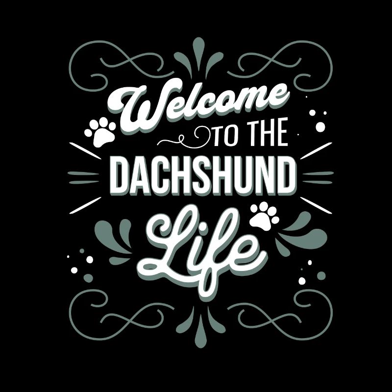 Dachshund