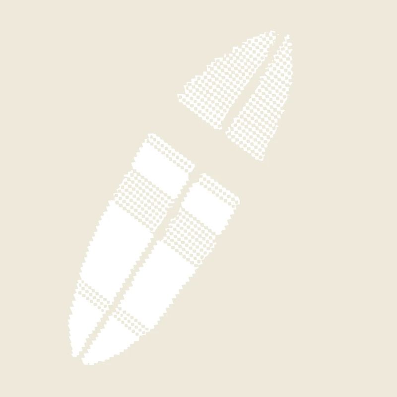 Surfbrett Pixel Grafik
