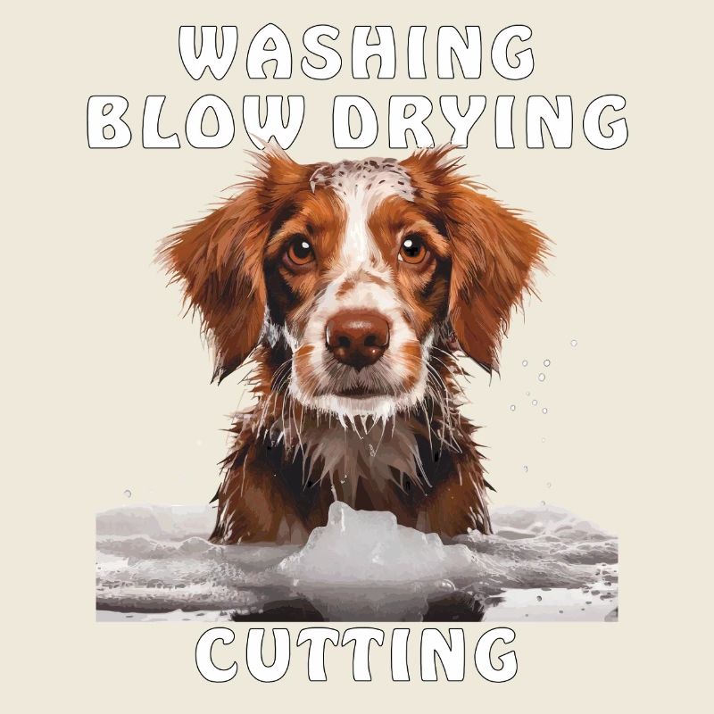 HUNDE WASHING BLOW DRYING CUTTING