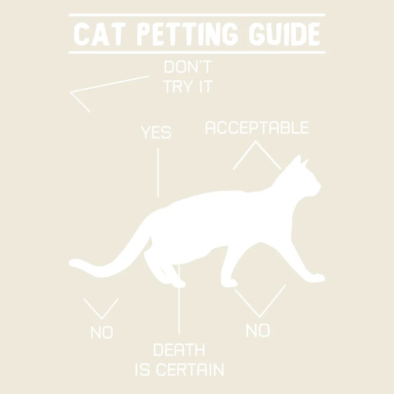 Guide de caresses pour chat