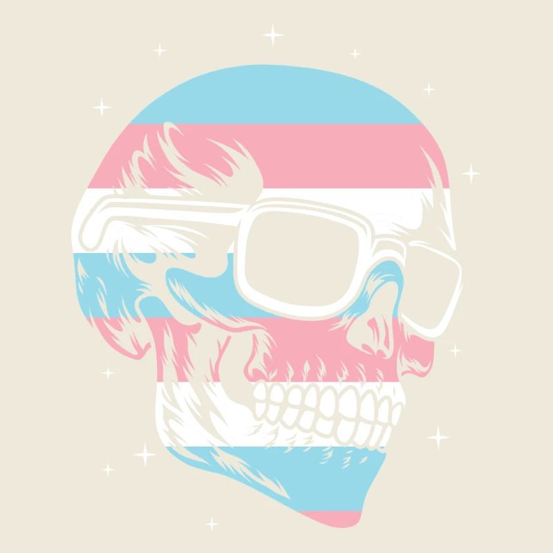 Transgender Trans LGBT Pride