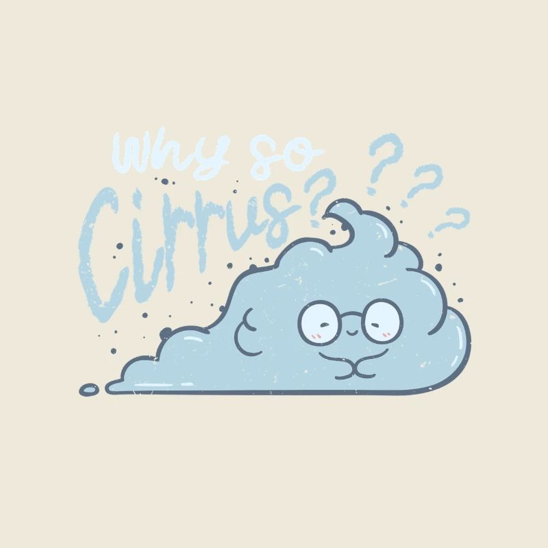 Meteorologist Weather Forecaster Why So Cirrus?