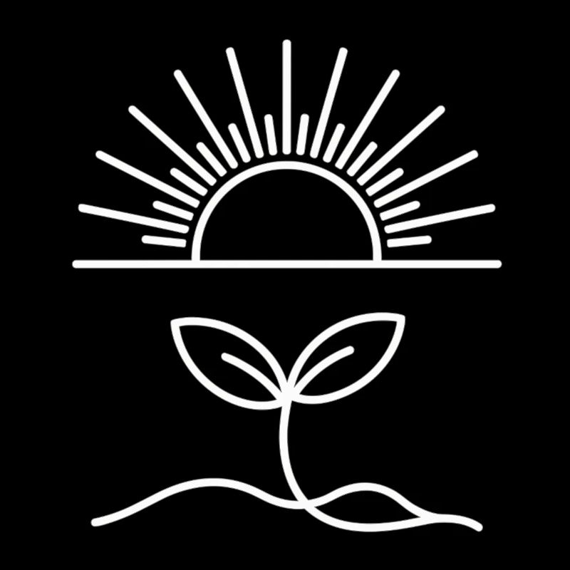 Minimal Pflanze und Sonne - Das Leben beginnt