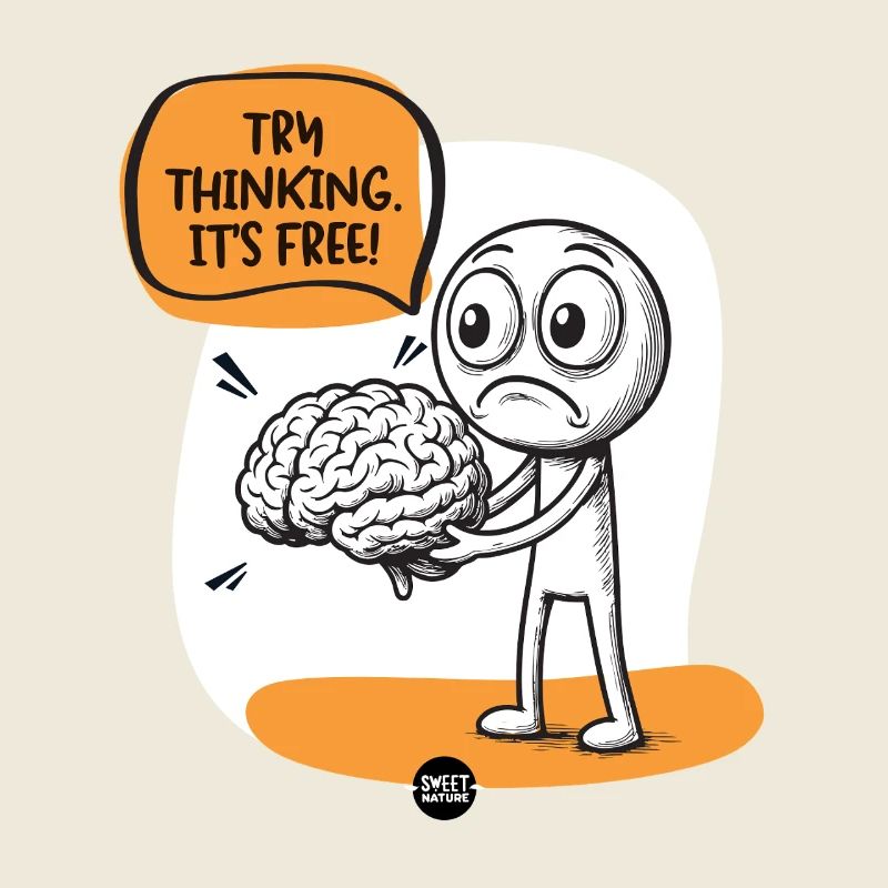 Cerveau. Un peu d’assemblage est requis.