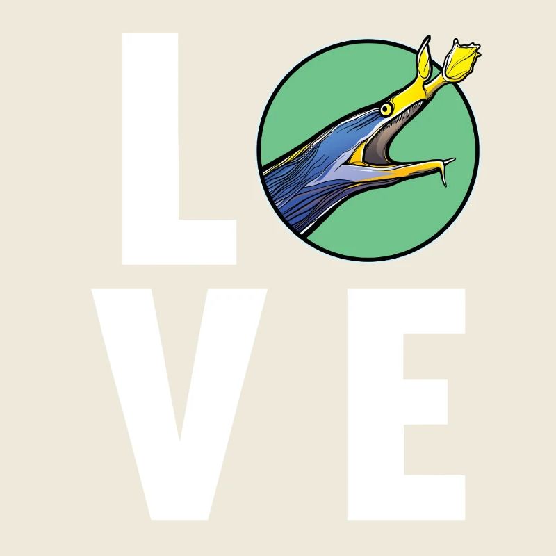 Nasal Moray Eel Ghost Moray