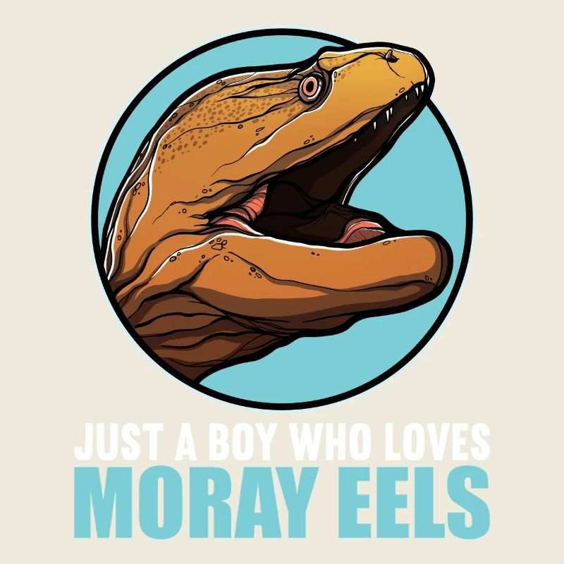 Moray eels Moray eel
