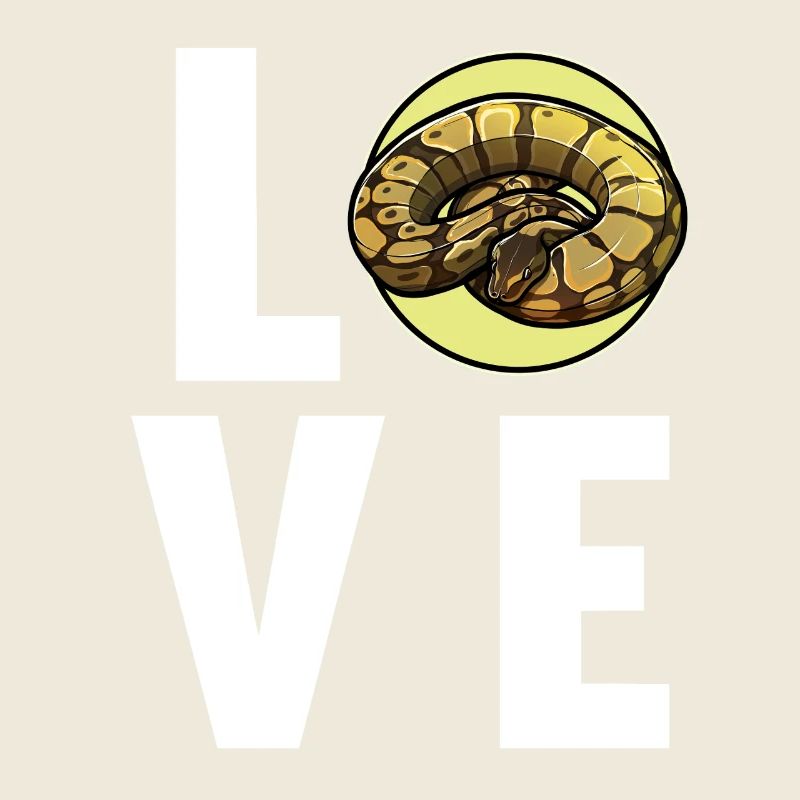 Ball Python Königspythons Königspython