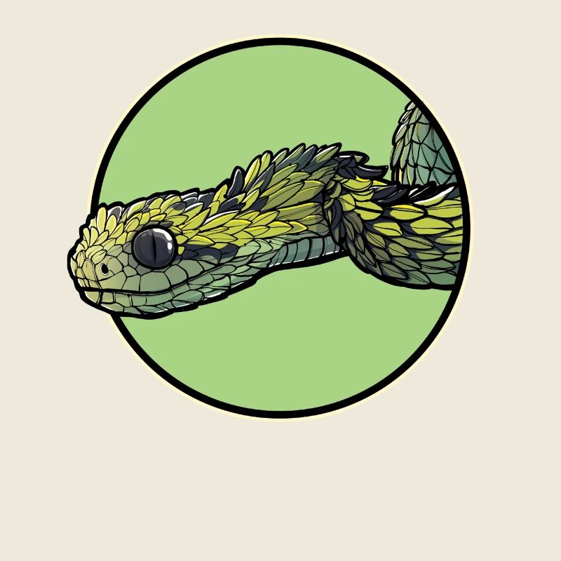 Bush Vipers Bush Viper