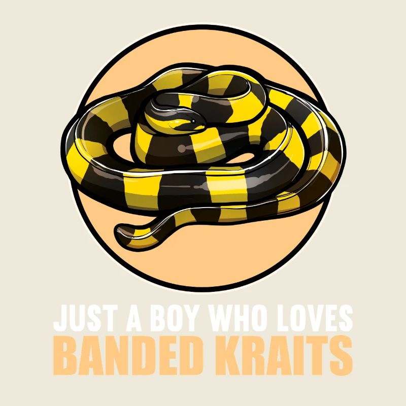 Banded Krait Gebänderter Krait