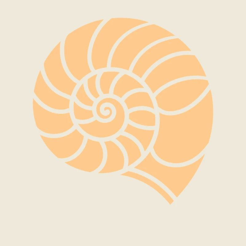 coquillage