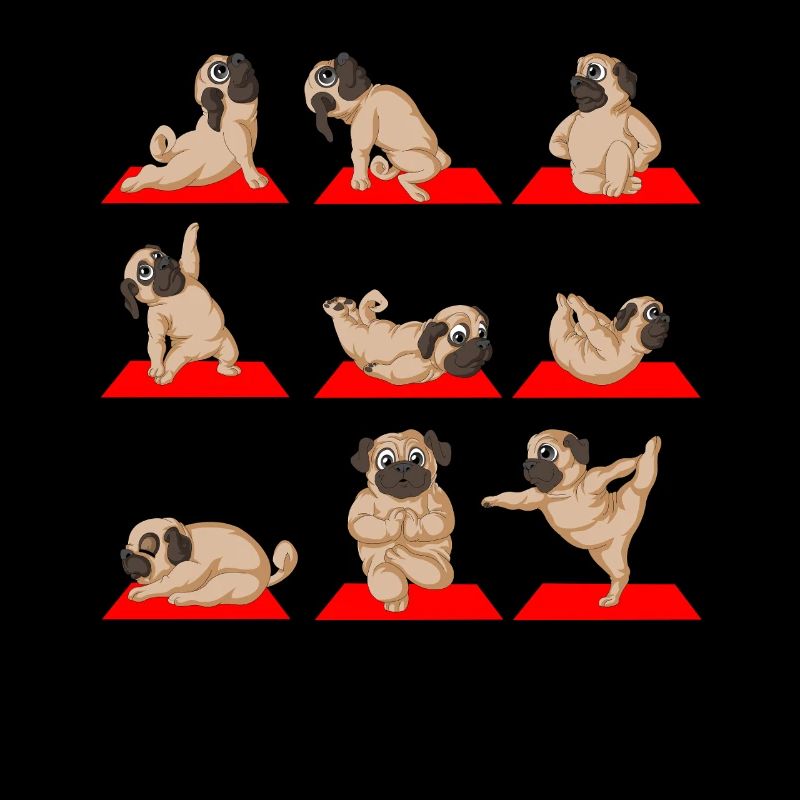 Pug Yoga Namaste Funny