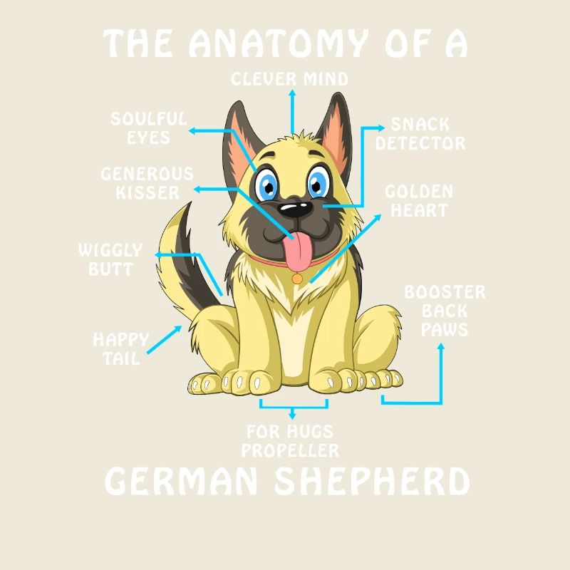 Anatomie eines Deutschen Schäferhundes