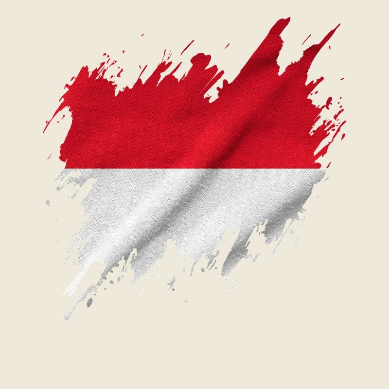 Indonesian flag, torn style