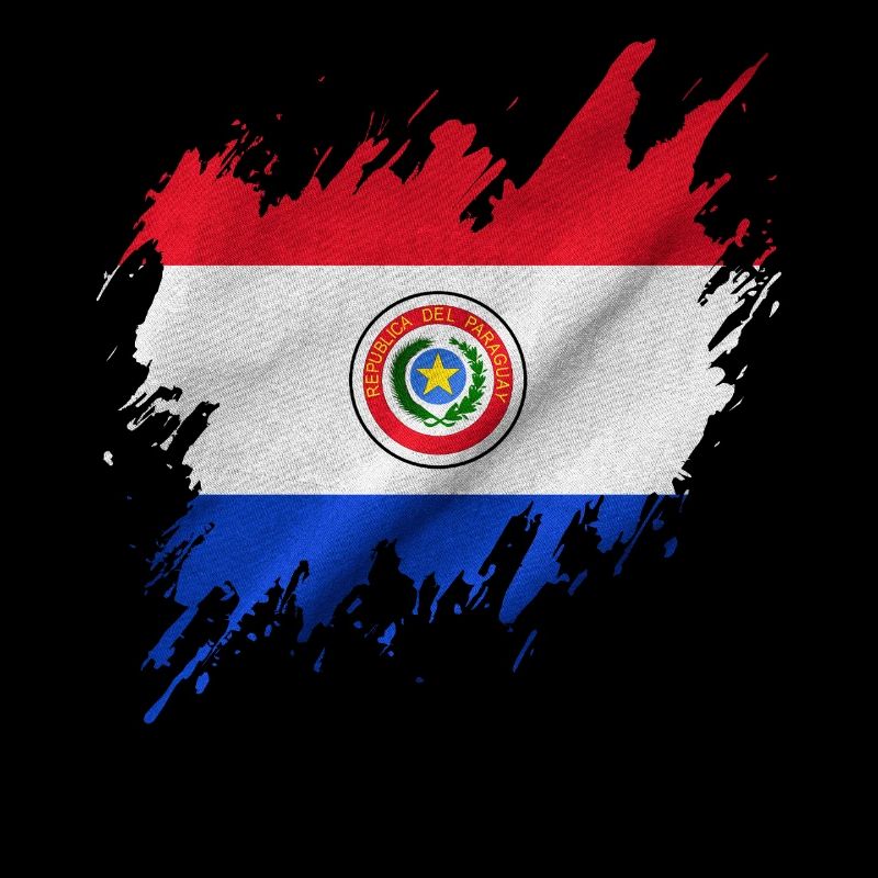 Paraguay flag, torn style